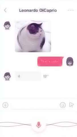 免费ddos在线攻击